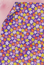 �����̓Z�b�g