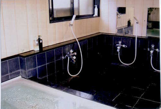 �R�����[�X�z�X�e���R